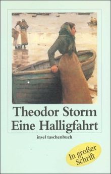 Eine Halligfahrt (insel taschenbuch)