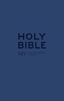 NIV Tiny Navy Soft-tone Bible with Zip (New International Version)