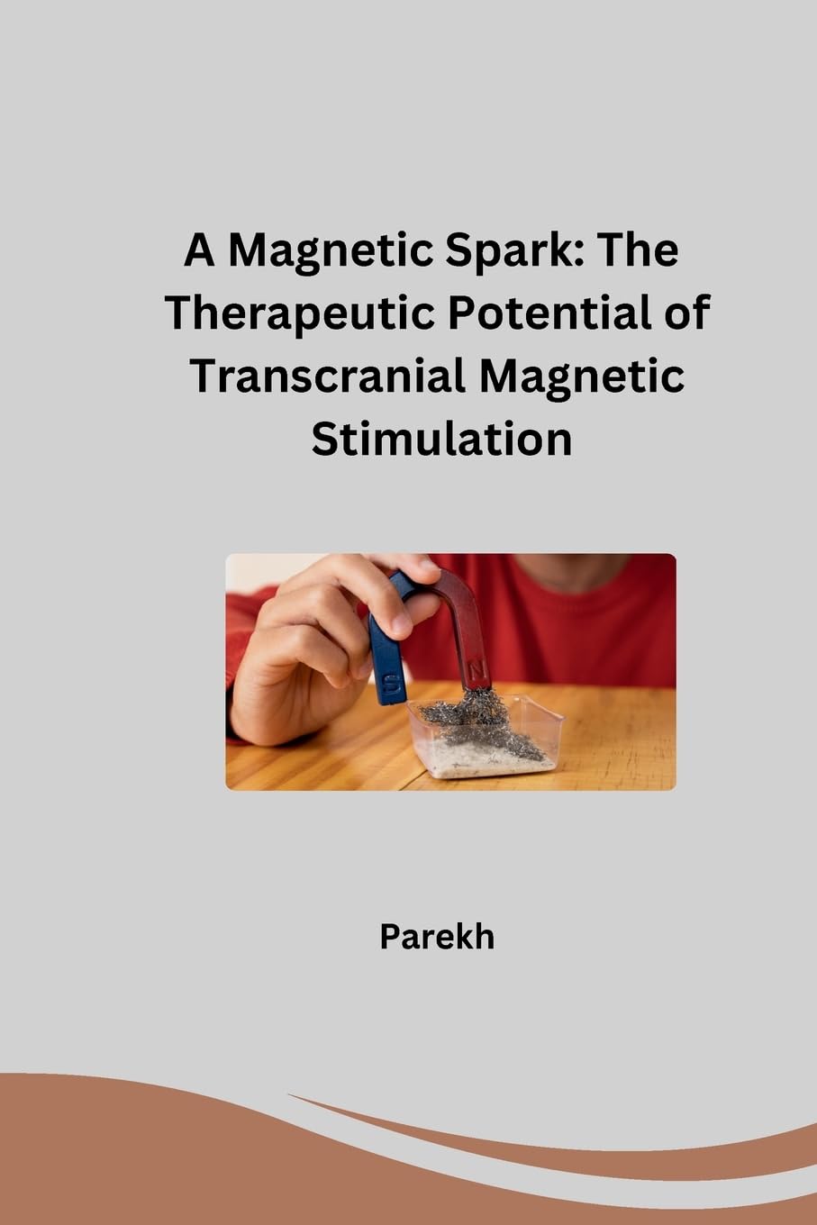 A Magnetic Spark: The Therapeutic Potential of Transcranial Magnetic Stimulation: DE