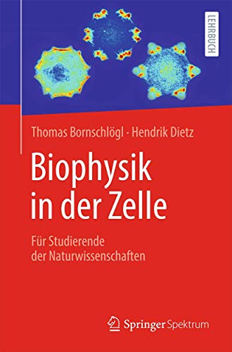 Biophysik in der Zelle - Thomas Bornschlögl Hendrik Dietz Kartoniert (TB)