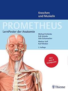 PROMETHEUS LernPoster der Anatomie, Knochen und Muskeln von Schulte, Erik, Schumacher, Udo | Buch | Zustand gut