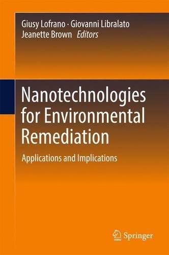 Nanotechnologies for Environmental Remediation: Applications and Implications