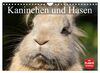 Kaninchen und Hasen (Wandkalender 2023 DIN A4 quer), Calvendo Monatskalender