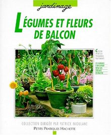 Légumes et fleurs de balcon von Friedrich Frenz | Buch | Zustand sehr gut