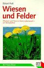 Wiesen und Felder