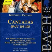 Edition Bachakademie Vol. 33 (Kantaten BWV 103-105)