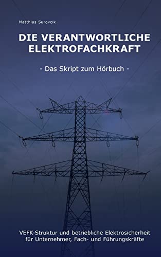 Die Verantwortliche Elektrofachkraft: VEFK-Struktur und Betriebliche Elektrosicherheit für Unternehmer, Fach- und Führungskräfte