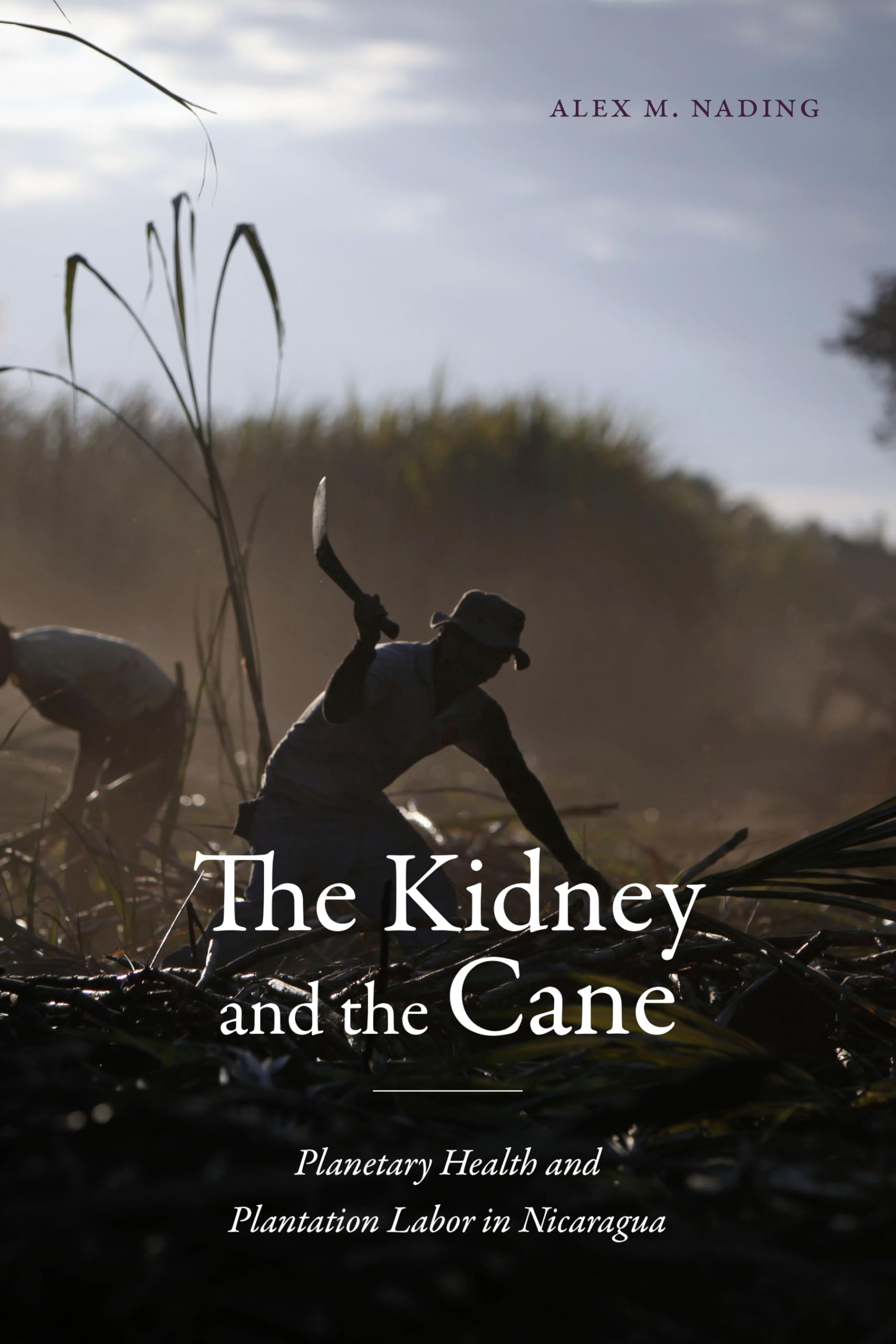 The Kidney and the Cane: Planetary Health and Plantation Labor in Nicaragua (Critical Global Health: Evidence, Efficacy, Ethnography)