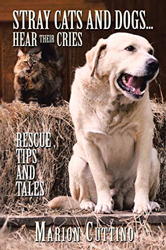 Stray Cats and Dogs . . . Hear their Cries: Rescue, Tips and Tales