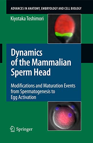 Dynamics Of The Mammalian Sperm Head: Modifications and Maturation Events From Spermatogenesis to Egg Activation (Advances in Anatomy, Embryology and ... Embryology and Cell Biology, 204, Band 2004)