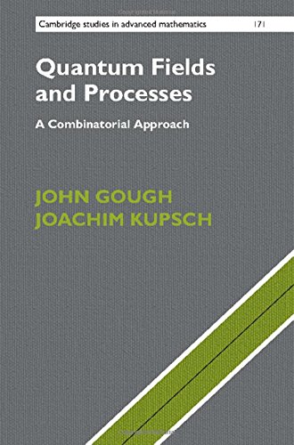 Quantum Fields and Processes: A Combinatorial Approach (Cambridge Studies in Advanced Mathematics, Band 171)