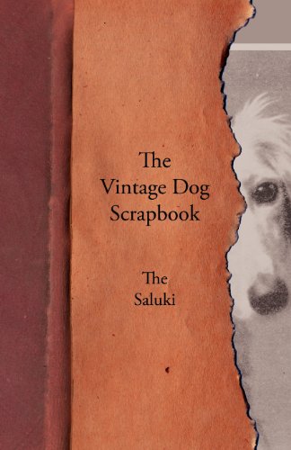 The Vintage Dog Scrapbook - The Saluki