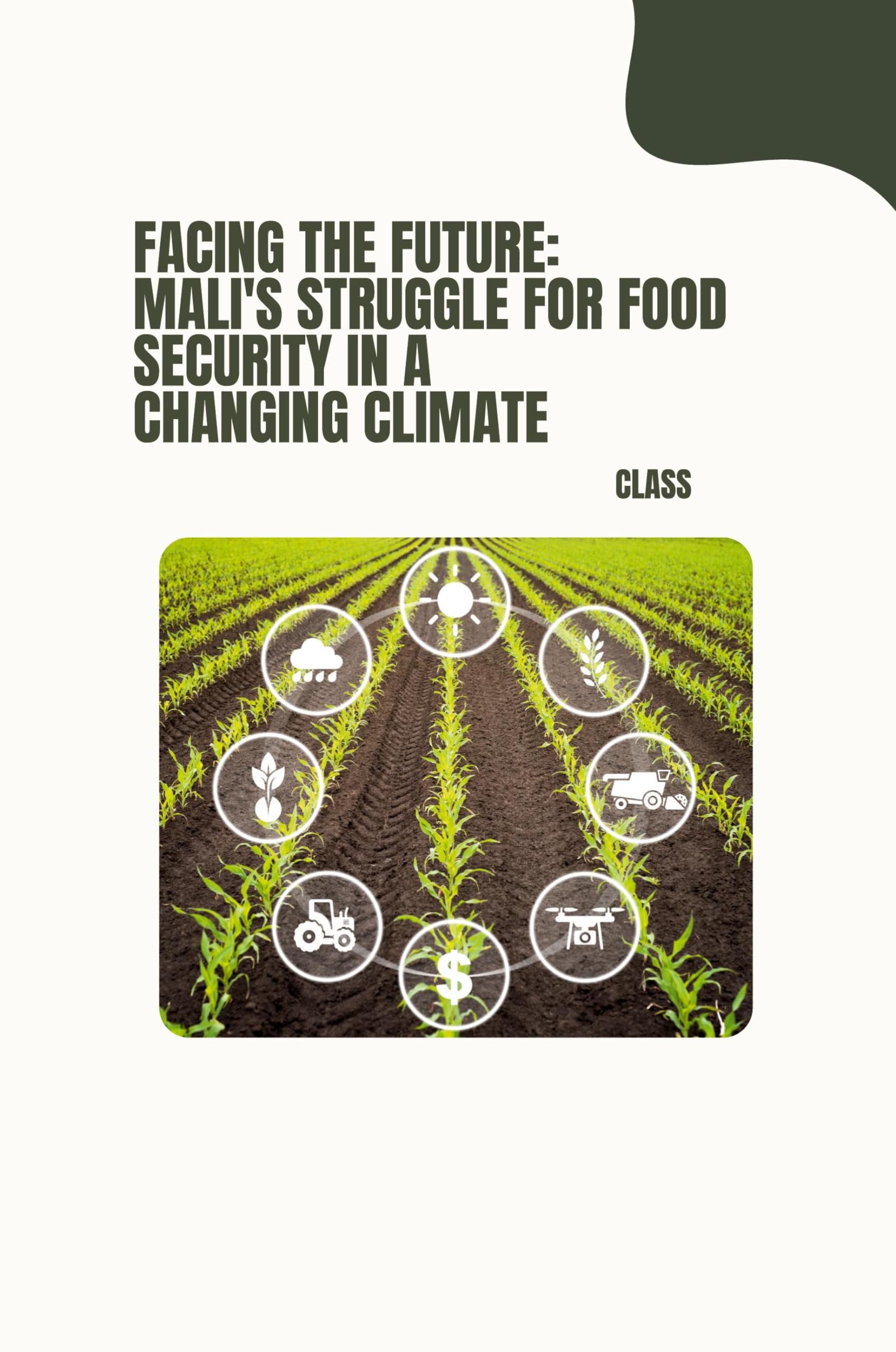 Facing the Future: Mali's Struggle for Food Security in a Changing Climate: DE