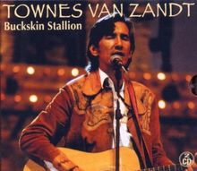 Buckskin Stallion