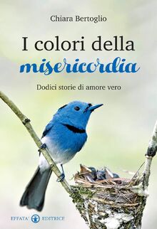 I colori della misericordia: Dodici storie di amore vero von Bertoglio, Chiara  | Buch | Zustand sehr gut