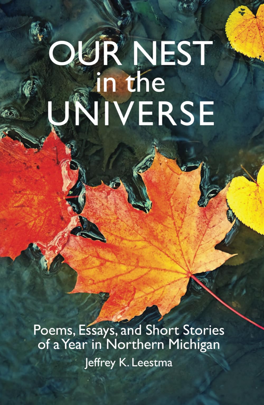 Oelder Buchhandlung – Lange Str, 59302 Oelde