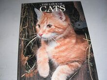 Love of Cats von Howard, Tom | Buch | Zustand gut