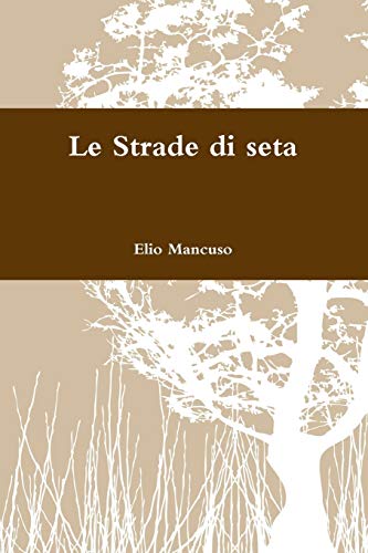 Le Strade di seta
