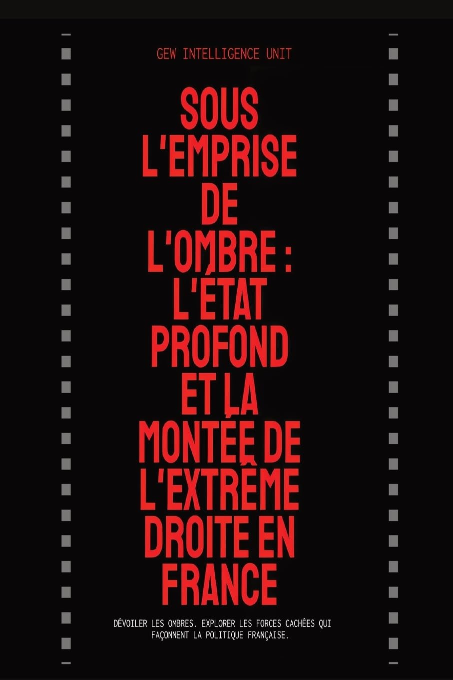 Swimming Between Two Waters: The Morning of the Mogul : A wise report to a wise minister by a wise citizen: L'État Profond Et La Montée De L'Extrême Droite En France
