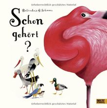 Schon gehört?: Vierfarbiges Bilderbuch