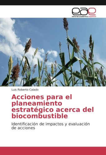 Acciones para el planeamiento estratégico acerca del biocombustible: Identificación de impactos y evaluación de acciones