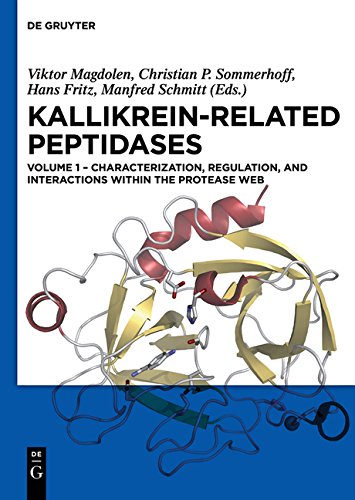 Kallikrein-related peptidases: Characterization, regulation, and interactions within the protease web