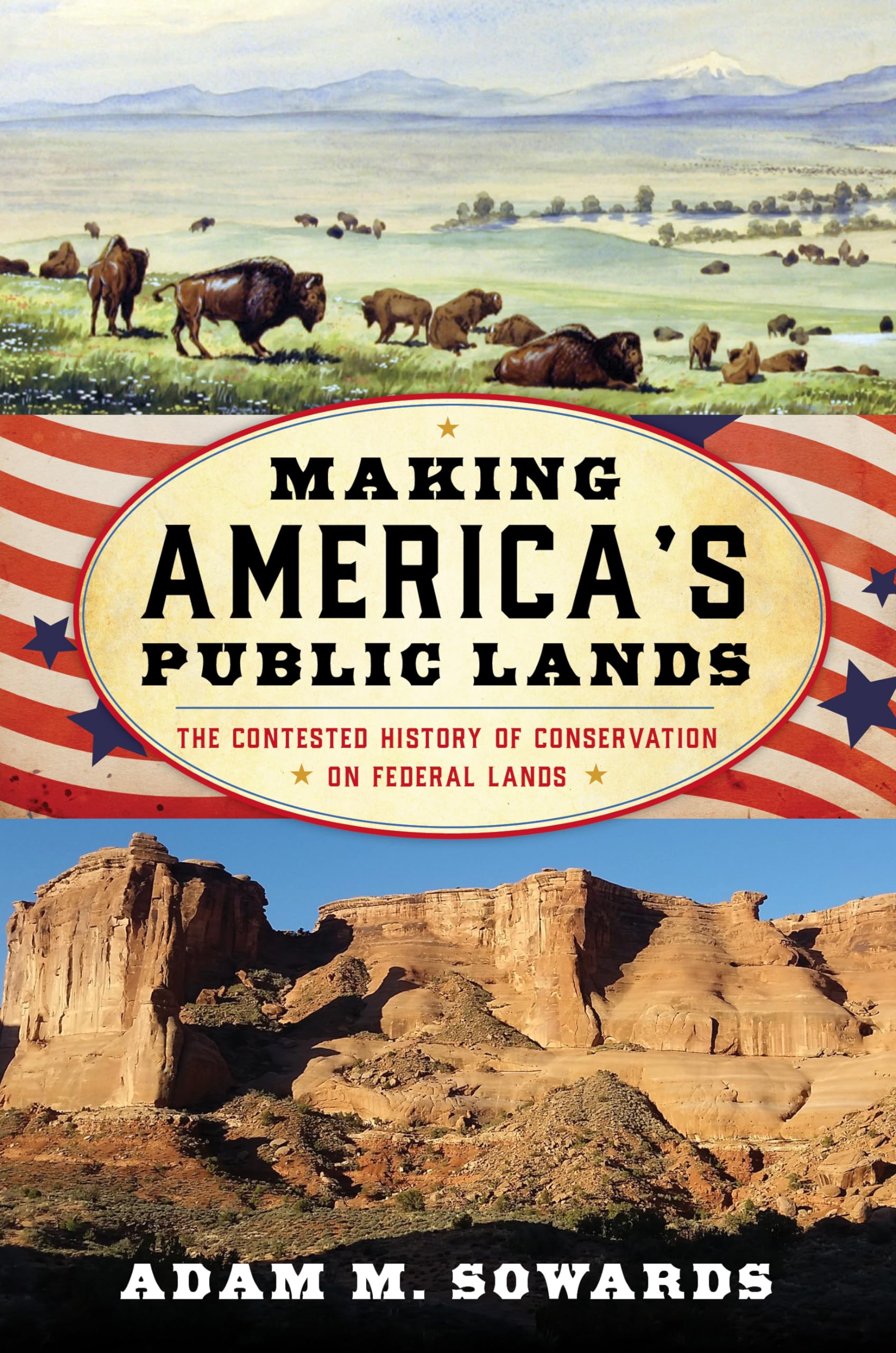 Making America's Public Lands: The Contested History of Conservation on Federal Lands (American Ways)