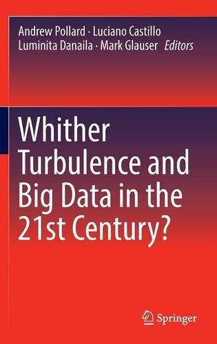 Whither Turbulence and Big Data in the 21st Century?