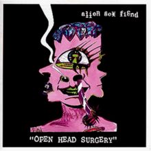 Open Head Surgery