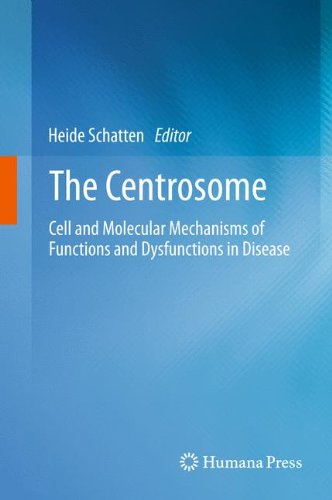 The Centrosome: Cell and Molecular Mechanisms of Functions and Dysfunctions in Disease