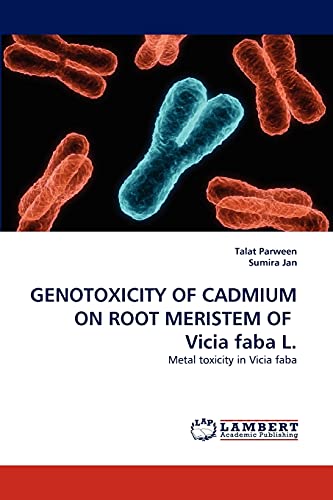 GENOTOXICITY OF CADMIUM ON ROOT MERISTEM OF Vicia faba L.: Metal toxicity in Vicia faba
