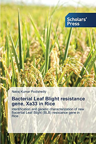Bacterial Leaf Blight resistance gene, Xa33 in Rice: Identification and genetic characterization of new Bacertial Leaf Blight (BLB) resistance gene in Rice