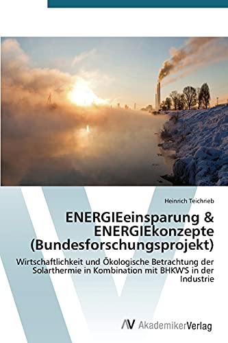ENERGIEeinsparung & ENERGIEkonzepte (Bundesforschungsprojekt): Wirtschaftlichkeit und Ökologische Betrachtung der Solarthermie in Kombination mit BHKW'S in der Industrie