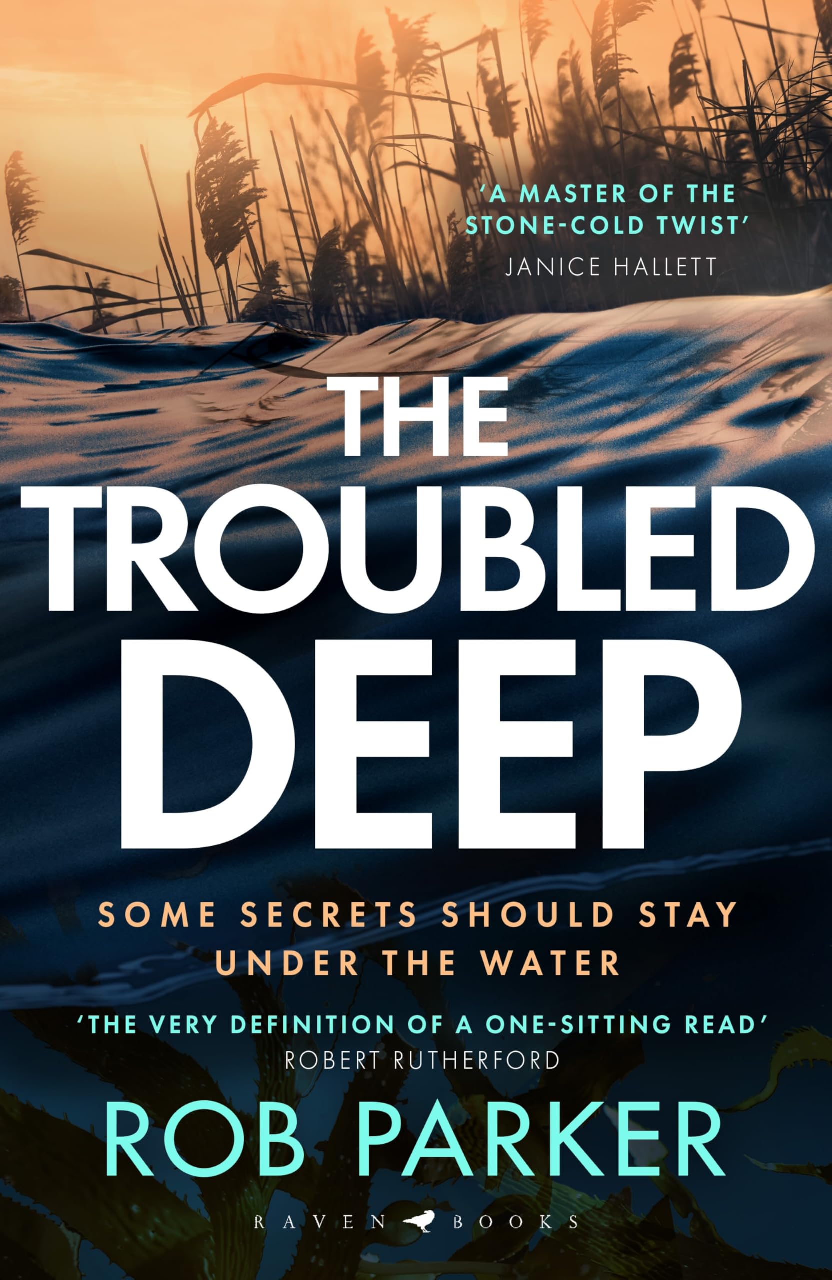 Rob Parker The Troubled Deep, 'A Master Of The Stone-cold Twist' Janice Hallett (Cam Killick Norfolk Mysteries)