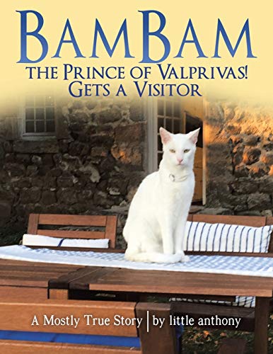 BamBam the Prince of Valprivas! Gets a Visitor: A Mostly True Story
