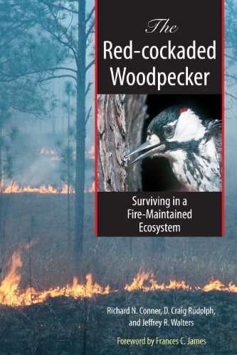 The Red-cockaded Woodpecker: Surviving in a Fire-Maintained Ecosystem (Corrie Herring Hooks, Band 49)