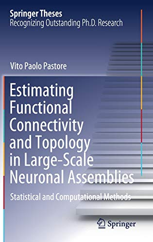 Estimating Functional Connectivity and Topology in Large-Scale Neuronal Assemblies: Statistical and Computational Methods (Springer Theses)