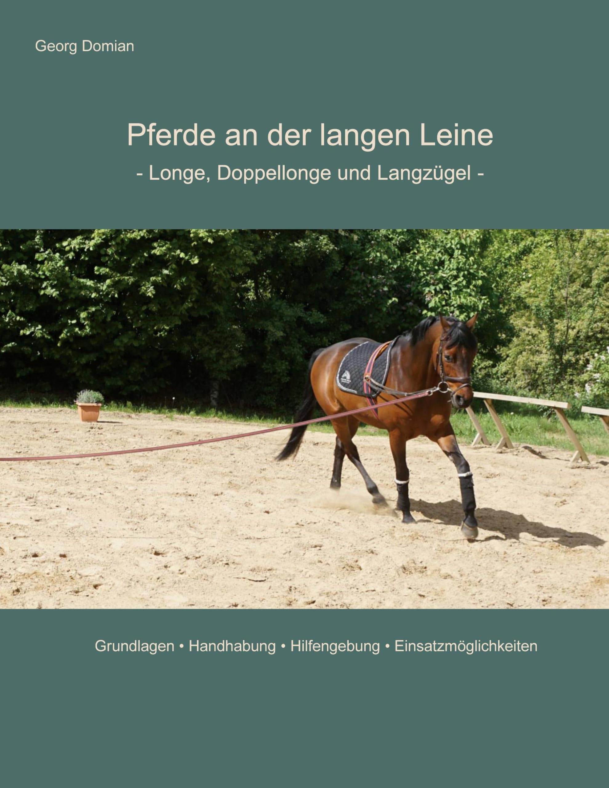 Pferde an der langen Leine: Longe, Doppellonge und Langzügel