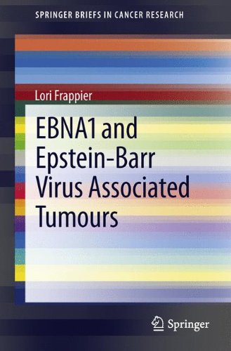 EBNA1 and Epstein-Barr Virus Associated Tumours (Springer Briefs in Cancer Research)