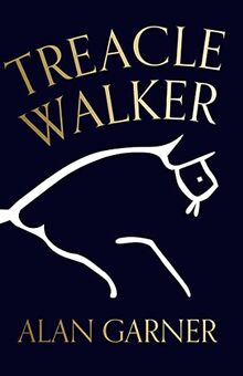 Treacle Walker: Shortlisted for the 2022 Booker Prize and a Guardian Best Fiction Book of 2021