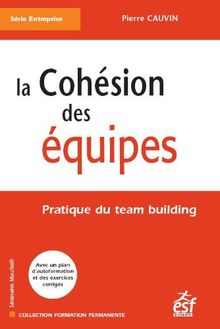 La cohésion des équipes : pratique du team building