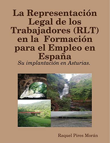 La Representación Legal de los Trabajadores (RLT) en la Formación para el Empleo en España: su implantación en Asturias.