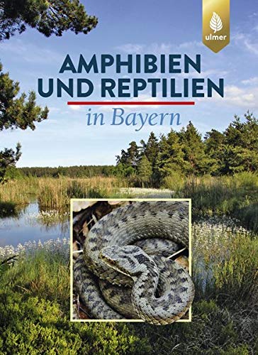 Amphibien und Reptilien in Bayern - Eberhard Andrä Otto Aßmann Thomas Dürst Günter Hansbauer Andreas Zahn Gebunden
