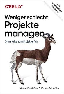 Weniger schlecht Projekte managen: Ohne Krise zum Projekterfolg