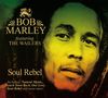 Soul Rebel