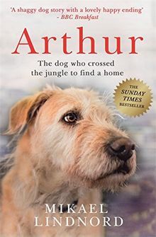 Arthur: The dog who crossed the jungle to find a home