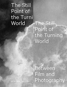 The Still Point of the Turning World: Between Photography and Film