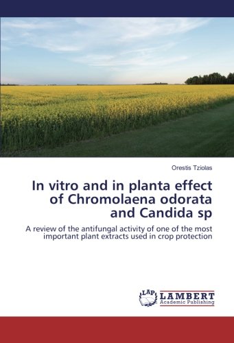 In vitro and in planta effect of Chromolaena odorata and Candida sp: A review of the antifungal activity of one of the most important plant extracts used in crop protection