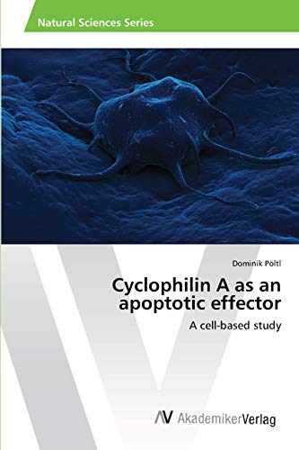 Cyclophilin A as an apoptotic effector: A cell-based study