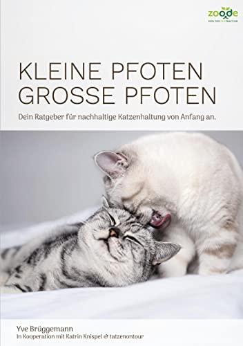Kleine Pfoten, Große Pfoten: Dein Ratgeber für nachhaltige Katzenhaltung von Anfang an.